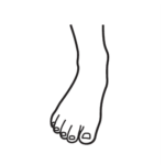 Forefoot graphic