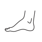 Foot graphic