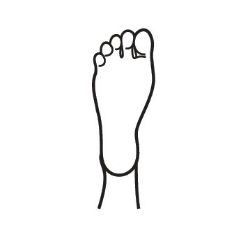 Foot graphic